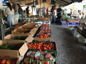 shoppers browsing tropical fruits and artisan goods in coconut grove
