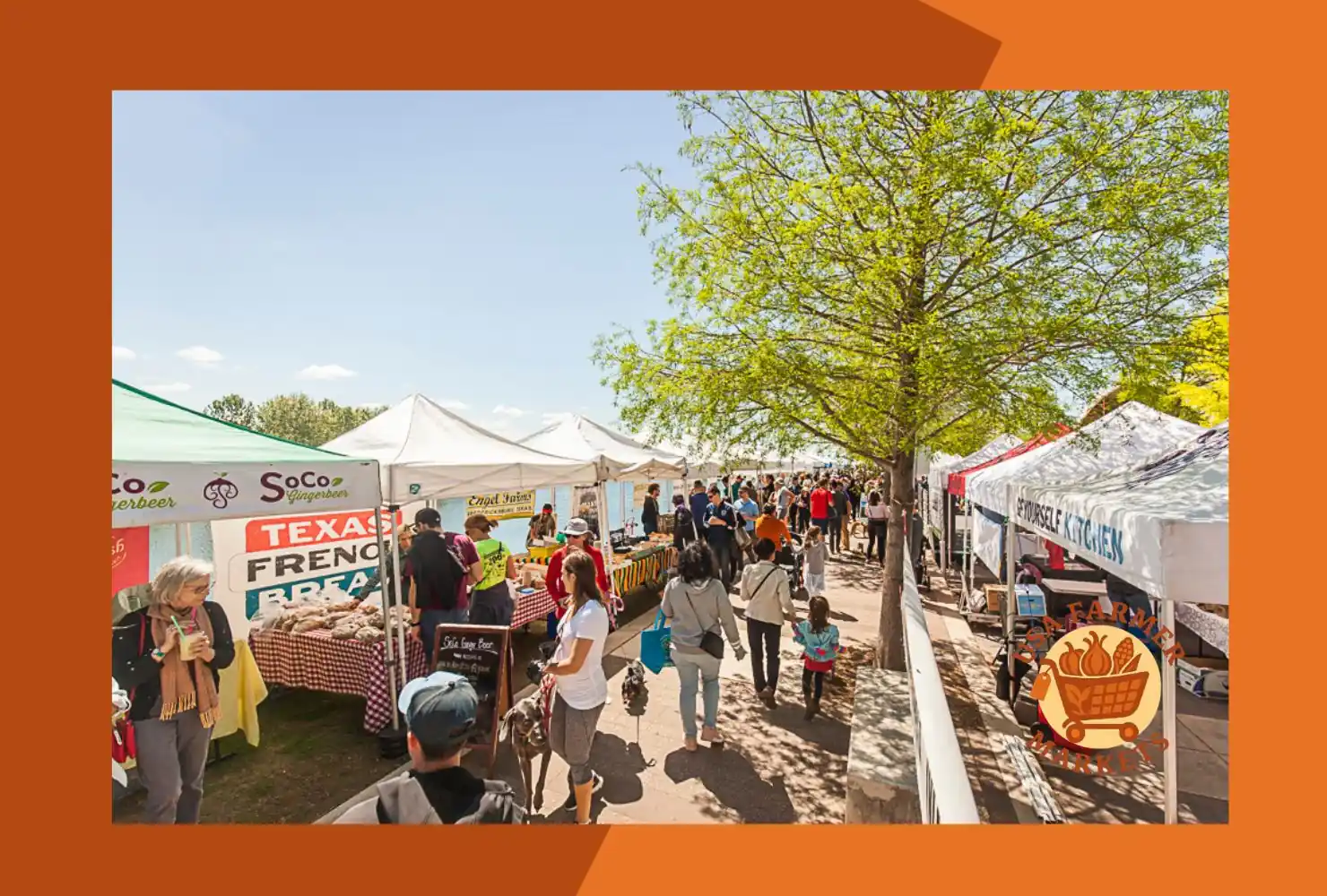 texas farmers markets