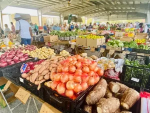vendor tables at lake county farmers’ and flea market