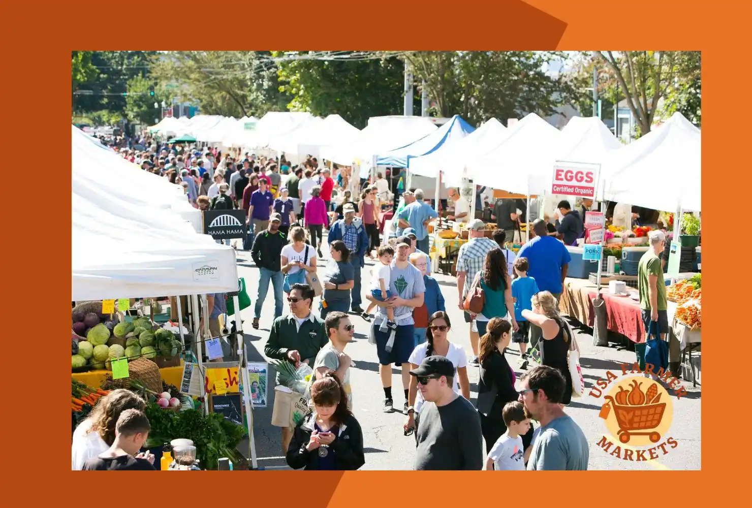 washington farmers markets