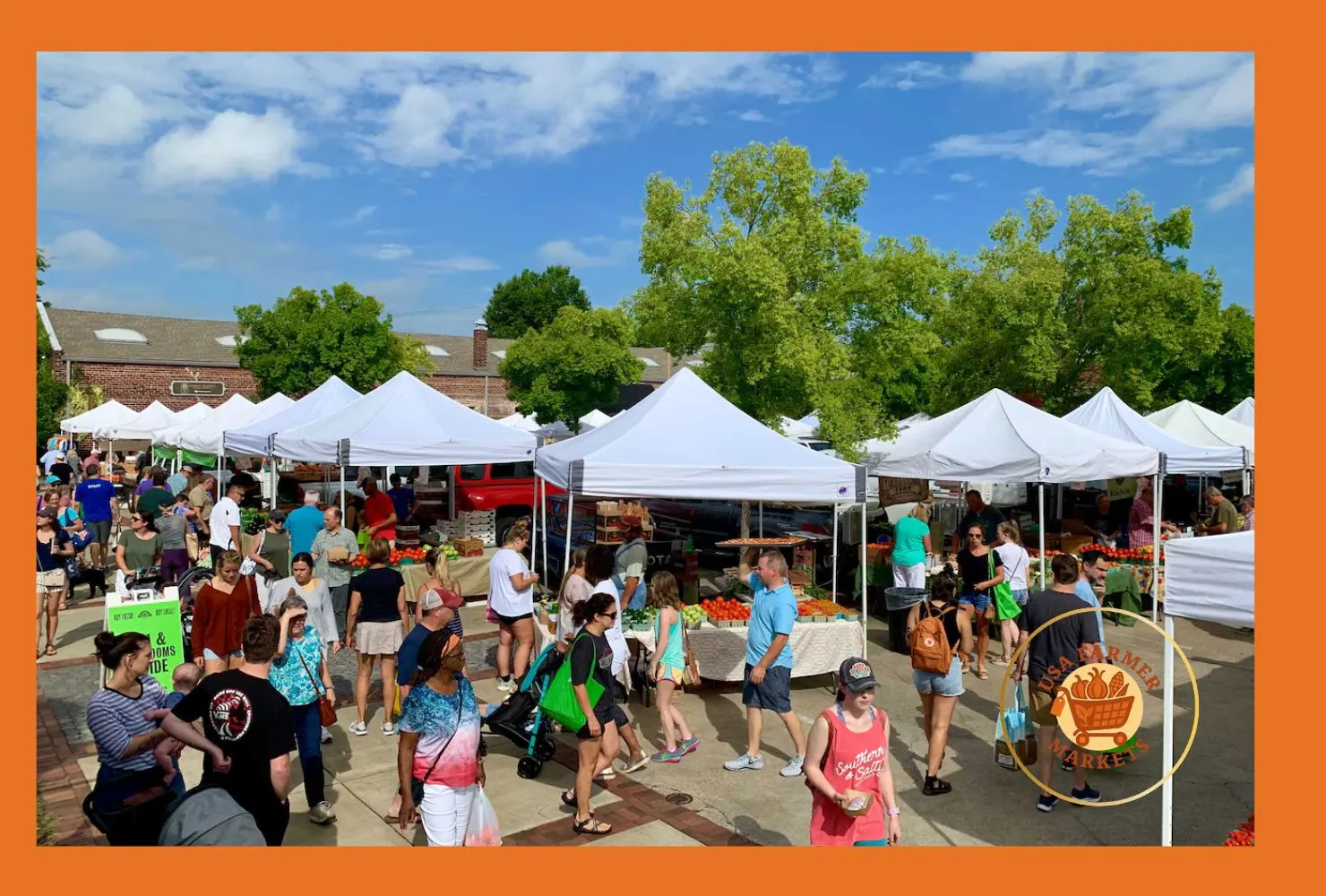 colbert county farmers market sheffield, alabama