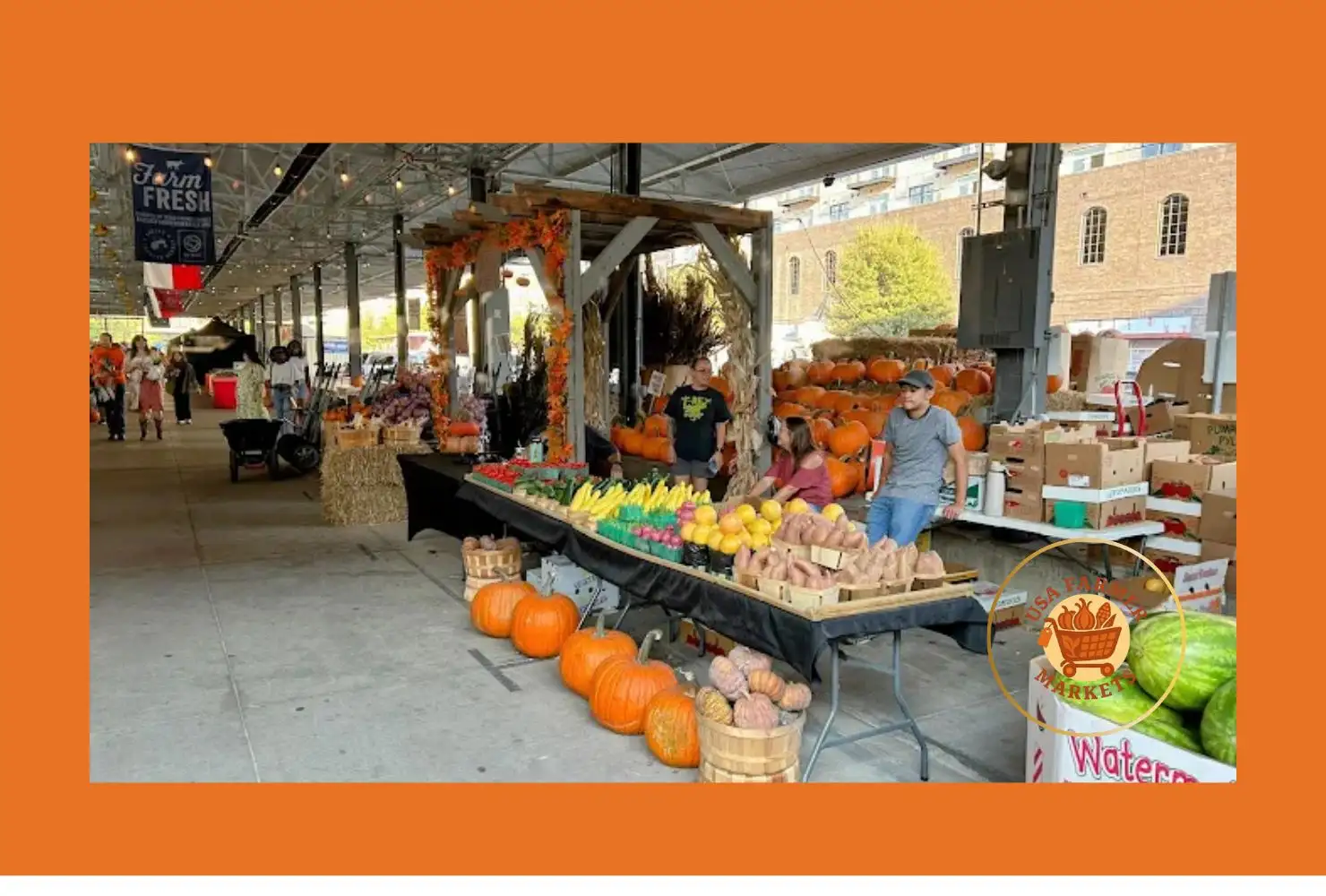 dallas farmers market
