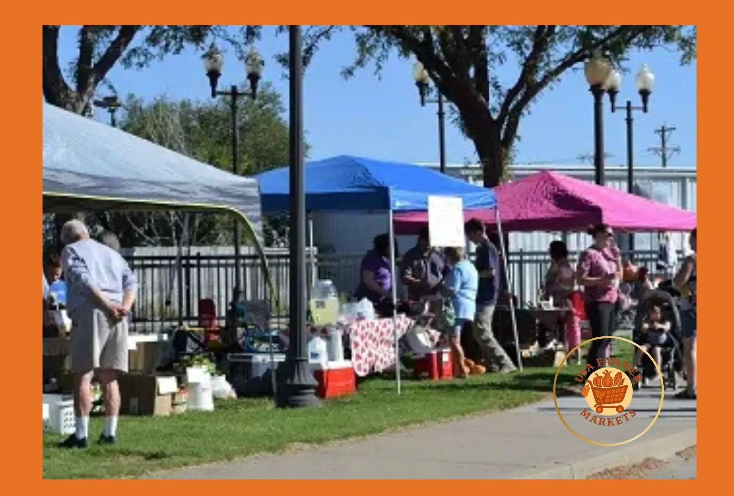 lamar county farmers market vernon, alabama