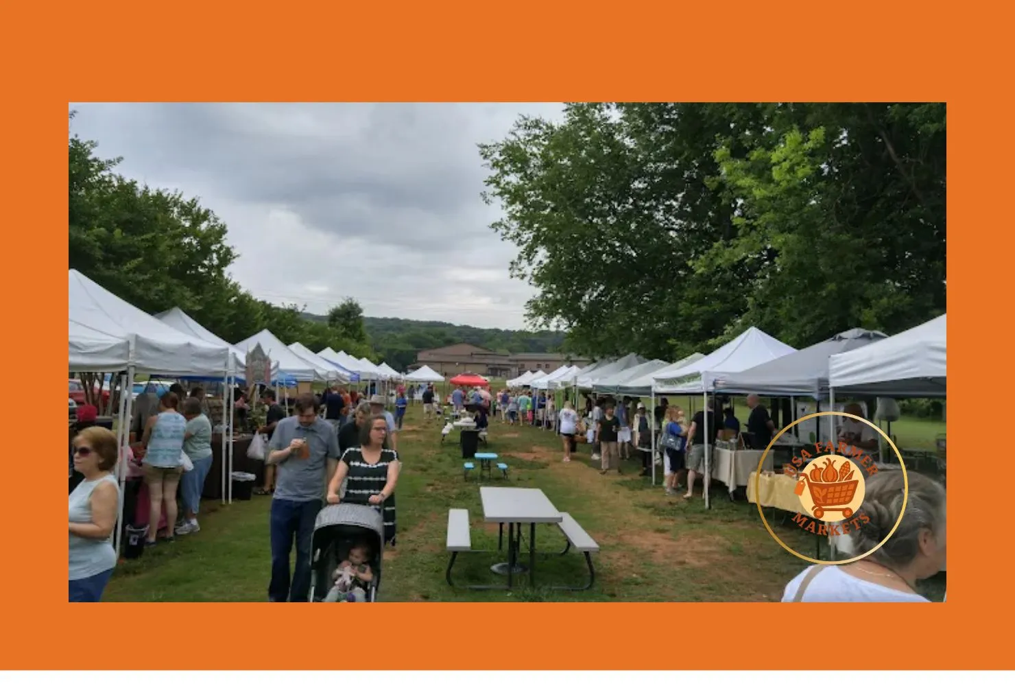 madison city farmers market