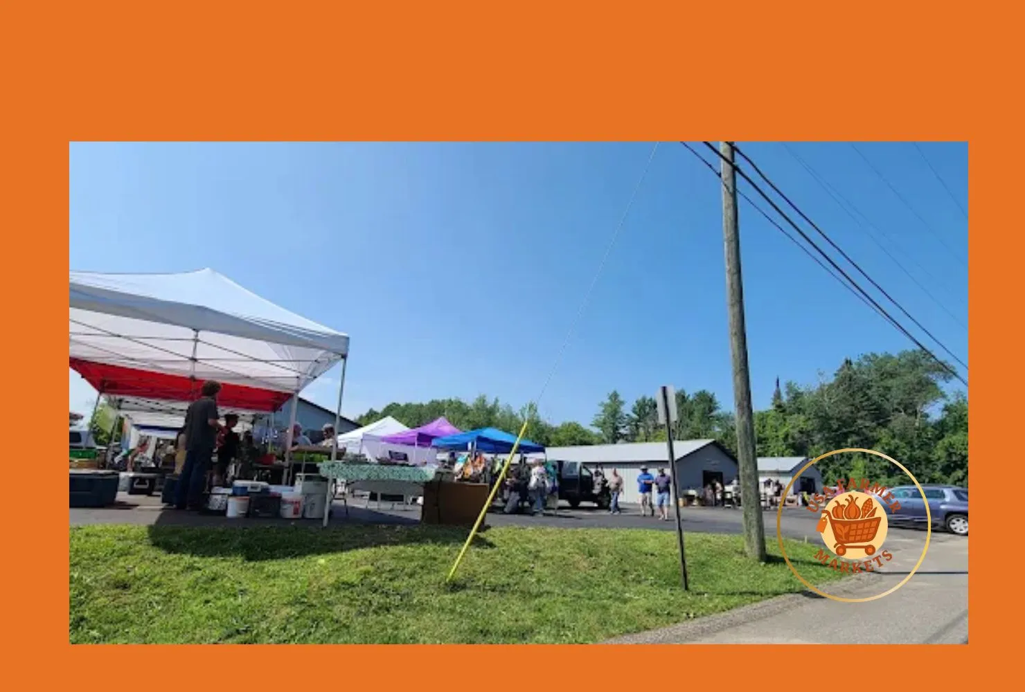 bellaire farmer's market