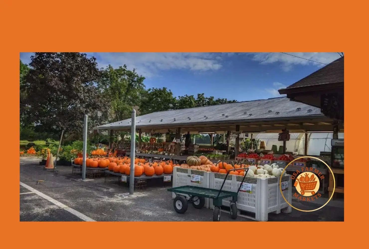 bertuzzi's market
