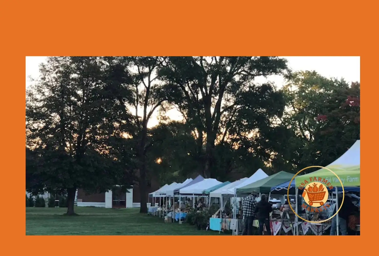 boyne city farmer's market