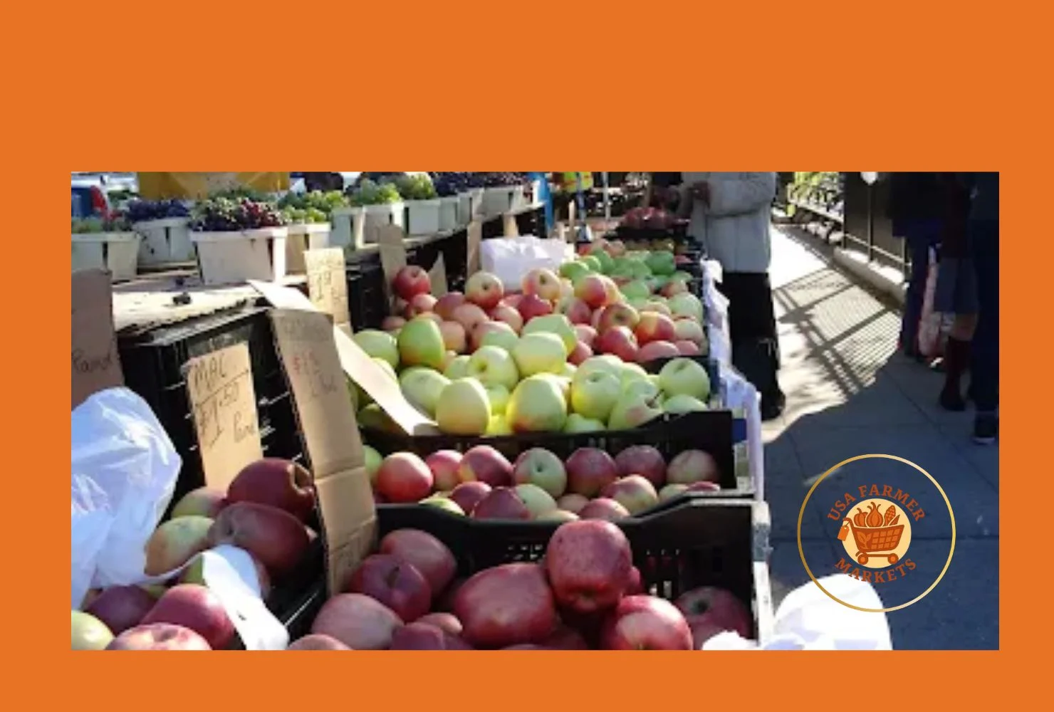 bronx borough hall greenmarket