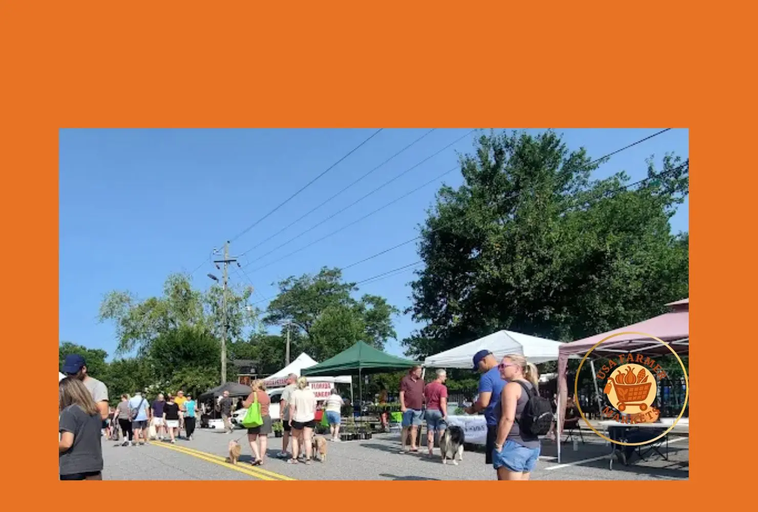 canton farmers market