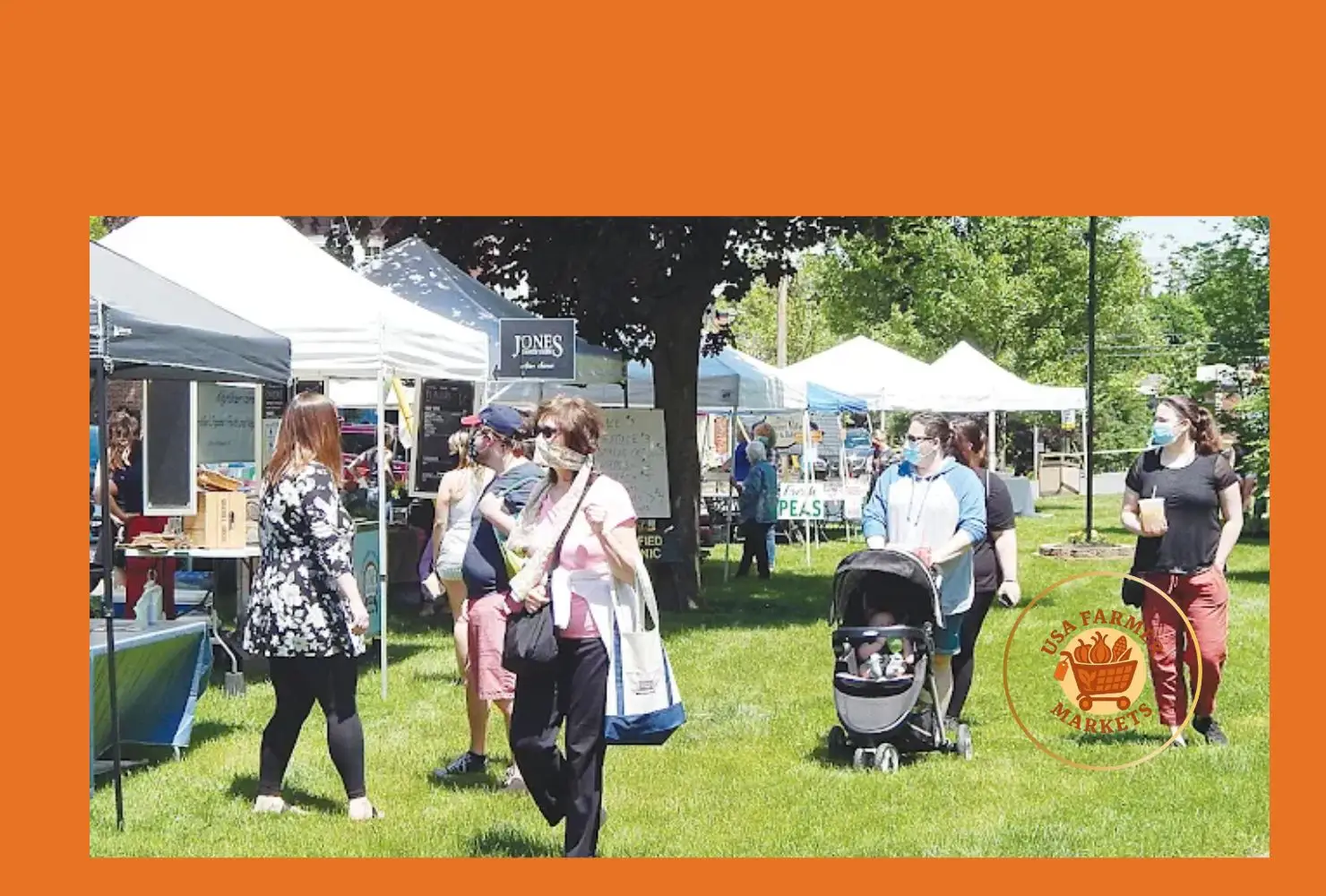 clinton farmers market