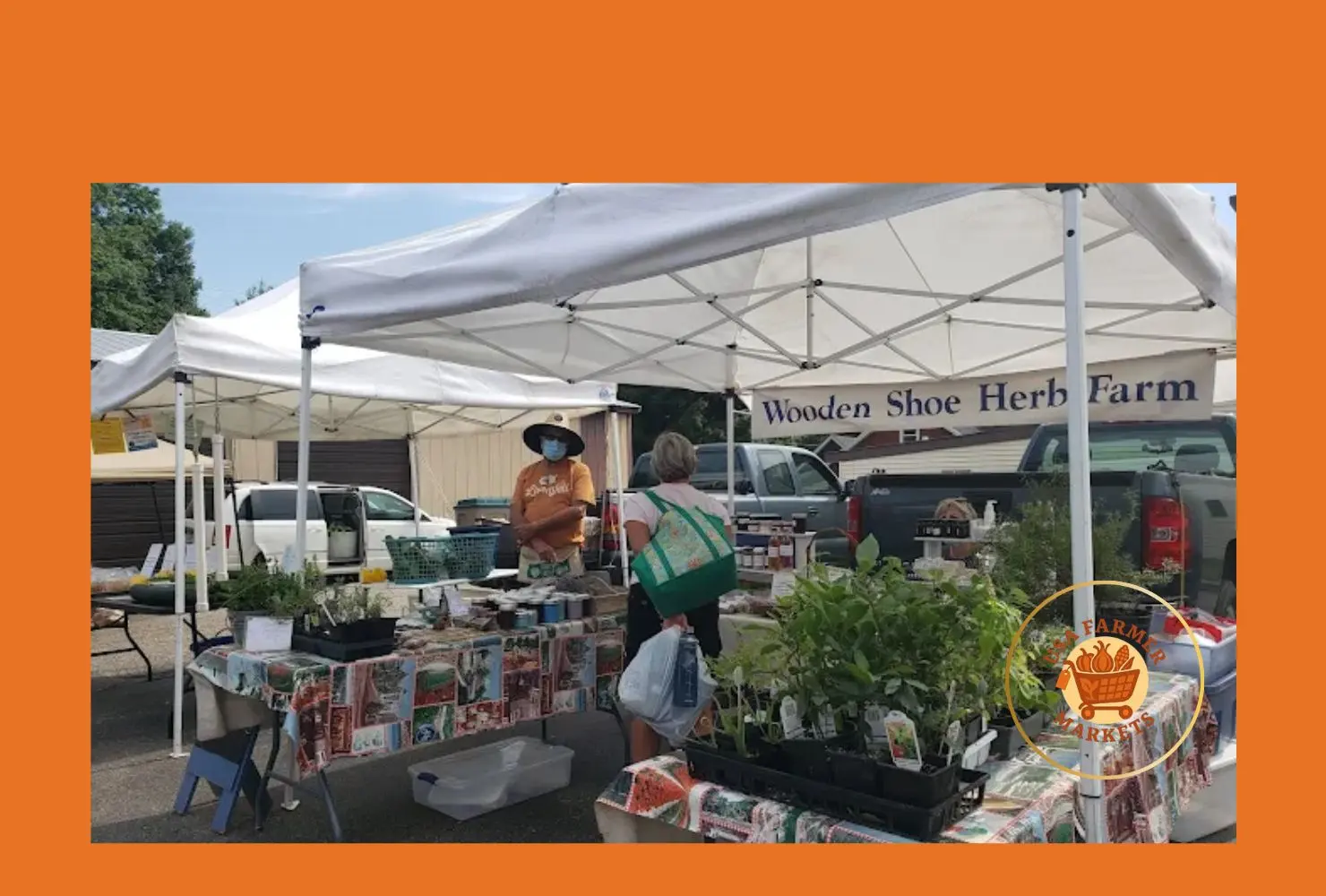 dimondale farmers' market