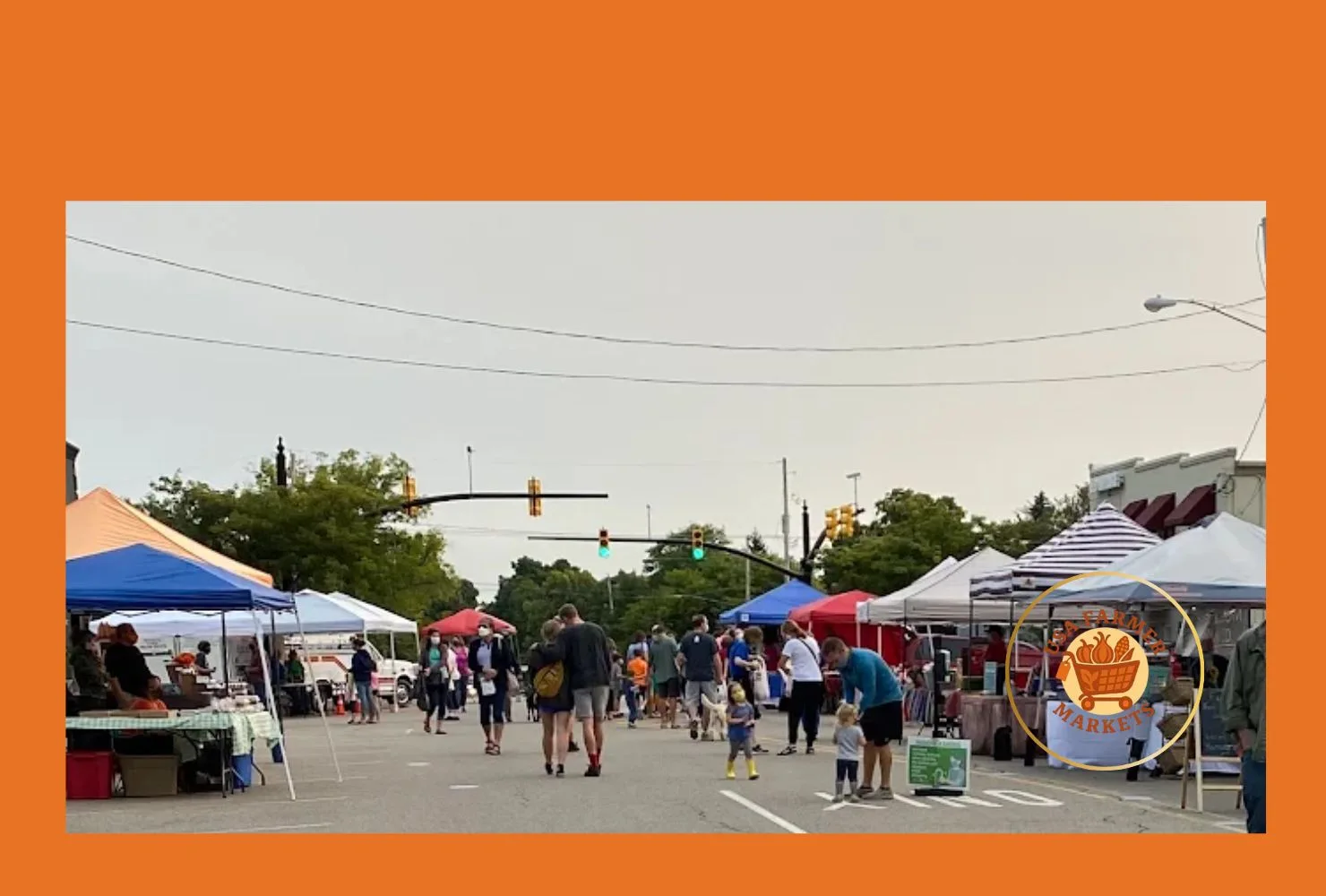 downtown dewitt farmers market