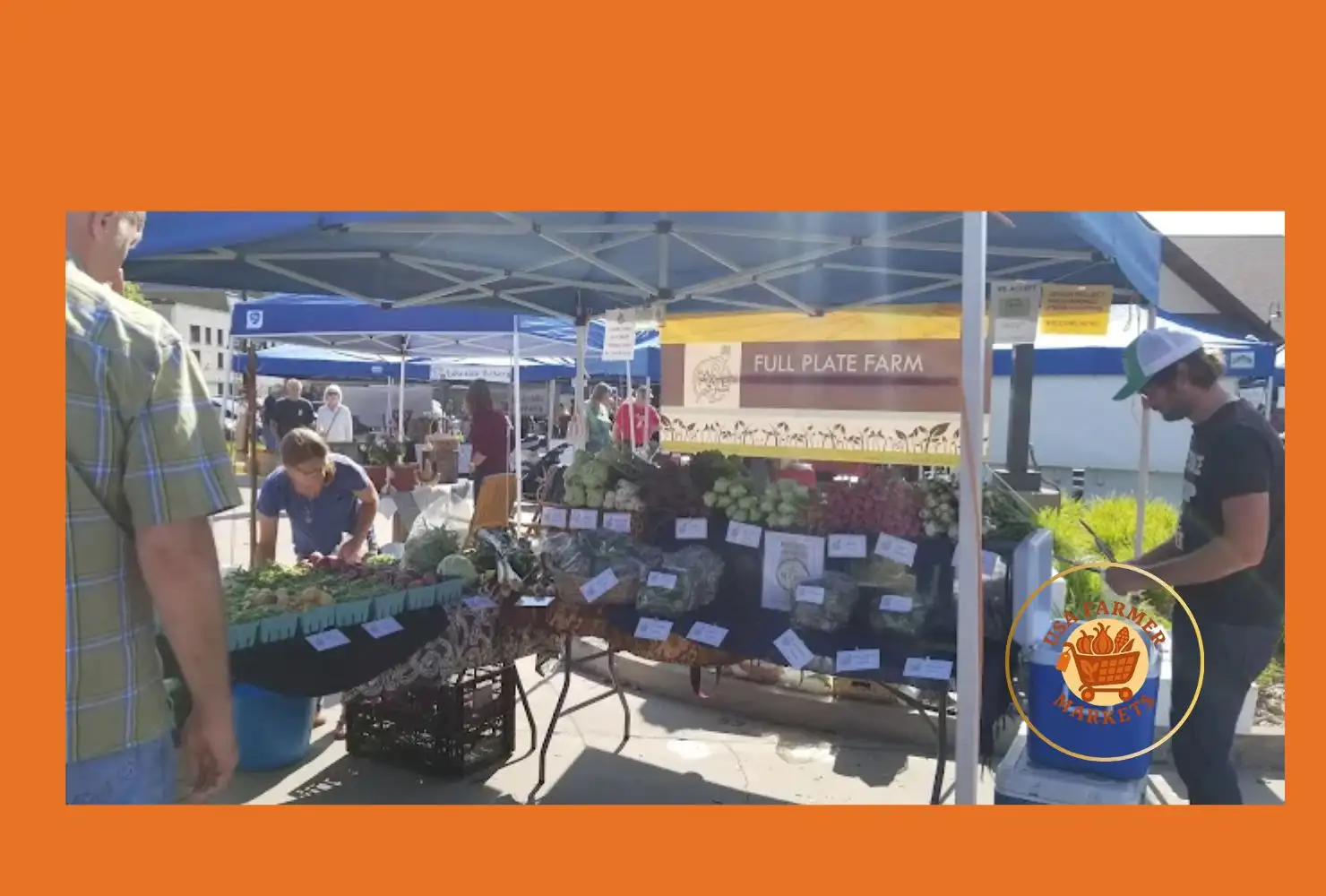 downtown marquette farmers market