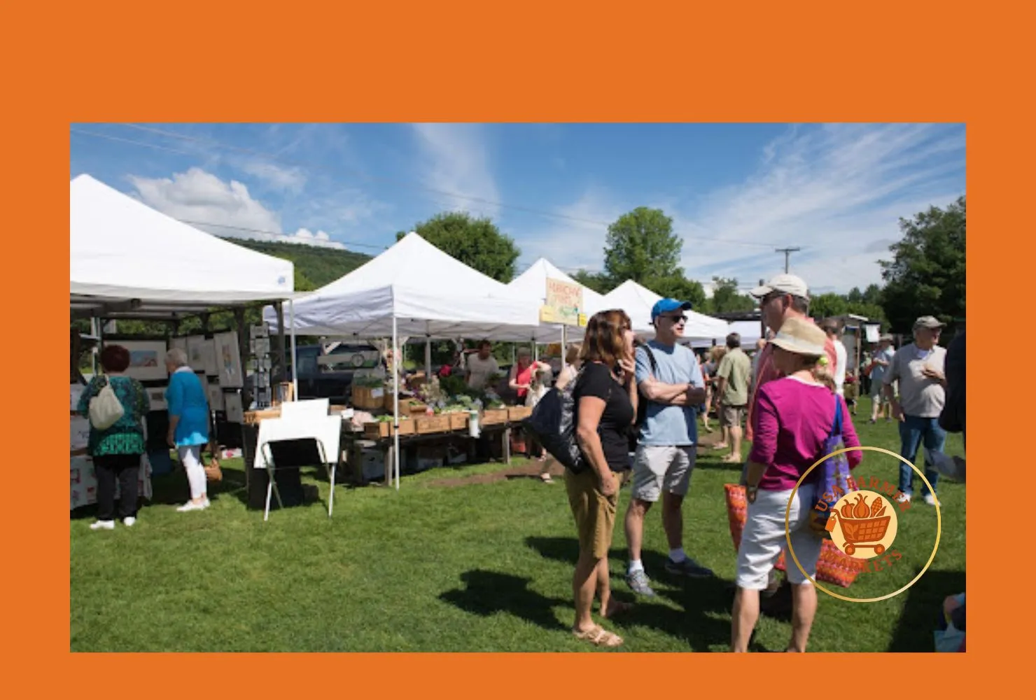 downtown norwich farmers market