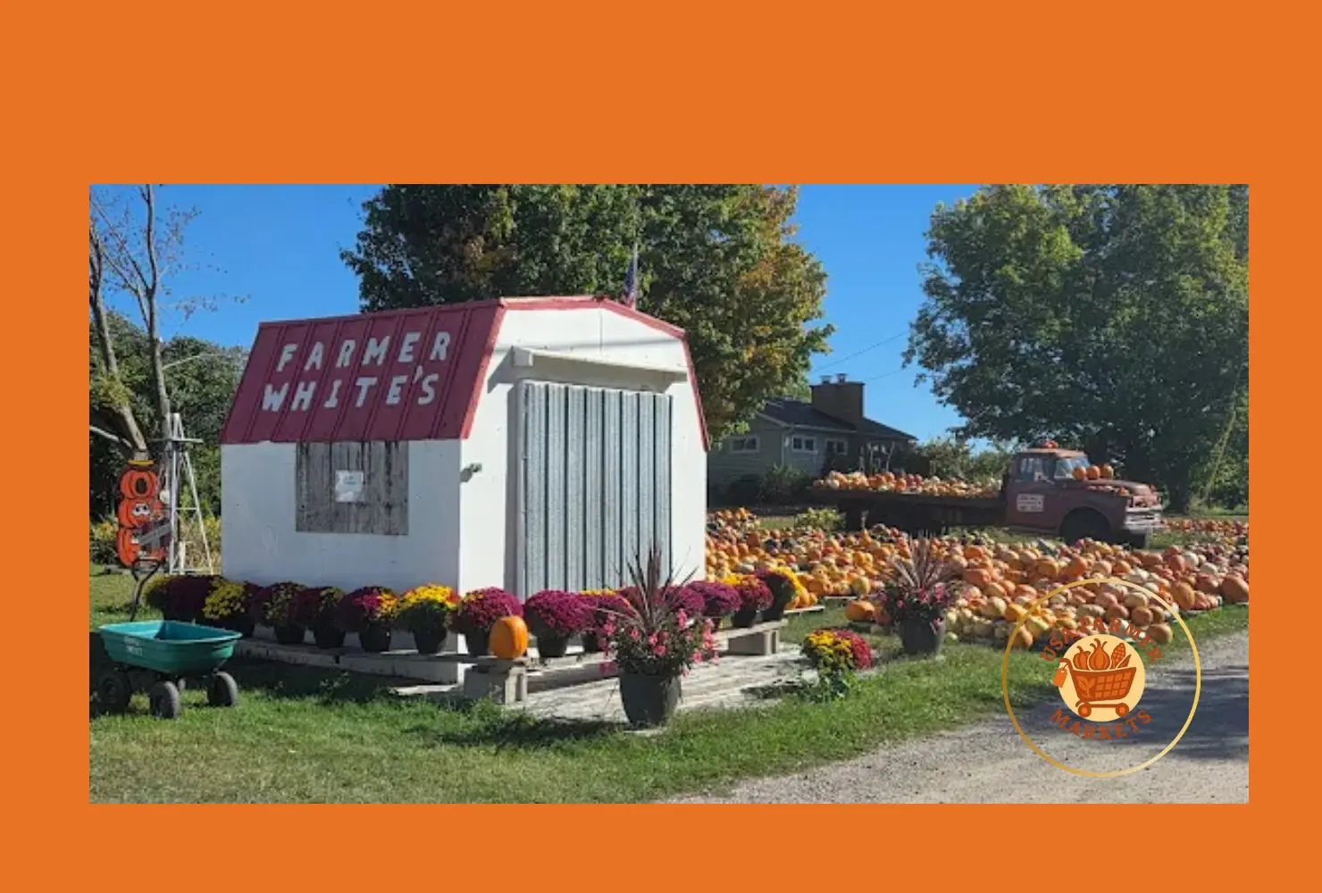 farmer white's