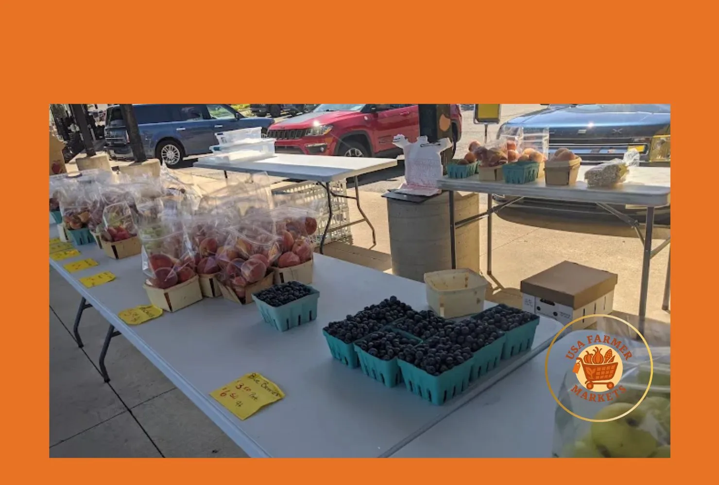 grand river farmers market