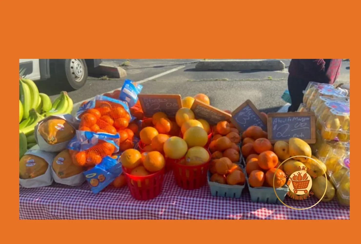 grasso girls farm & outlet