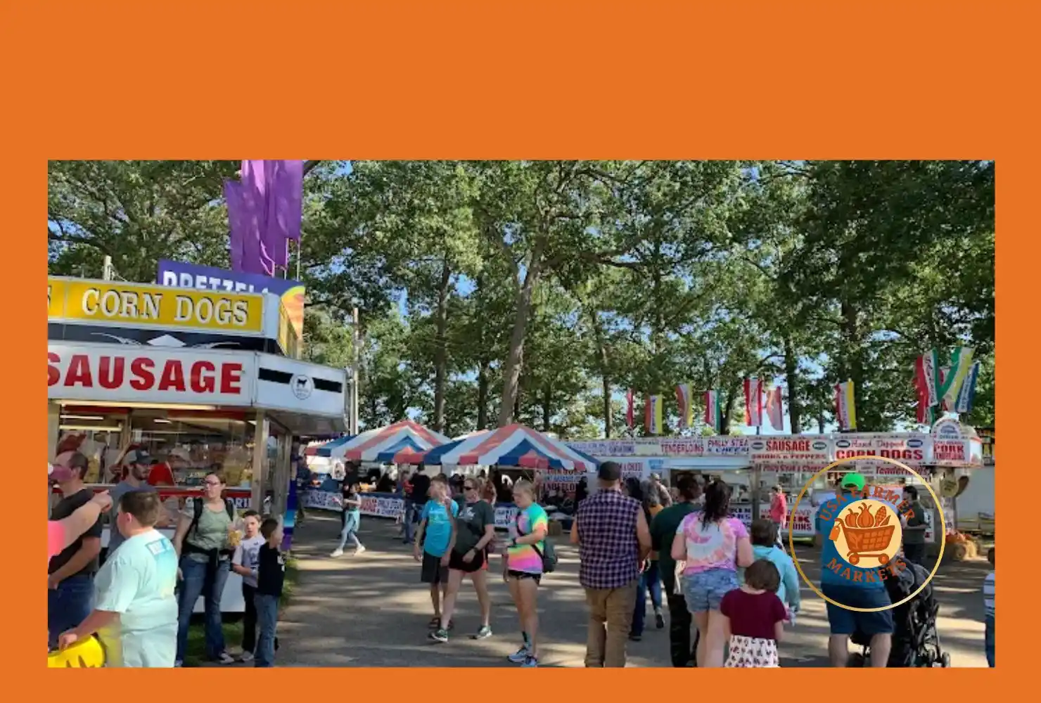 hillsdale county fair