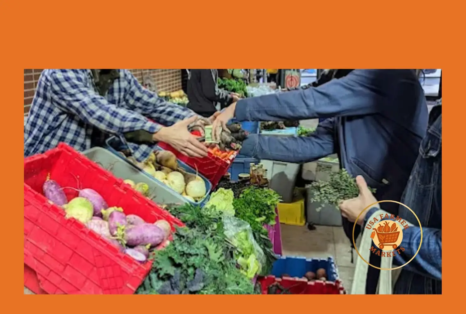 ithaca farmers market indoor winter market