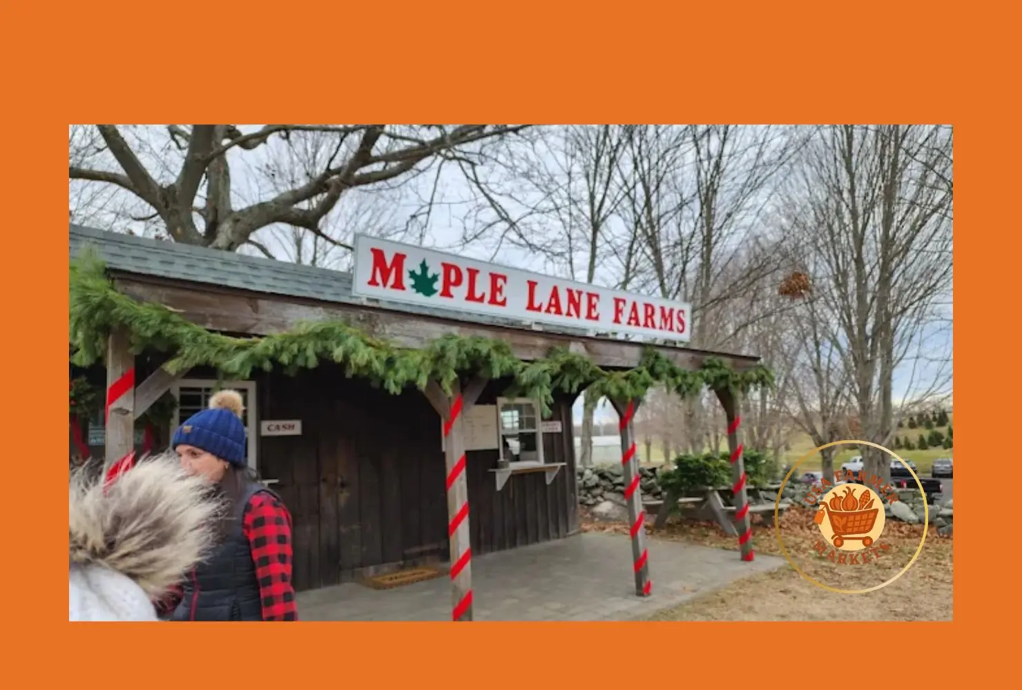 maple lane farms