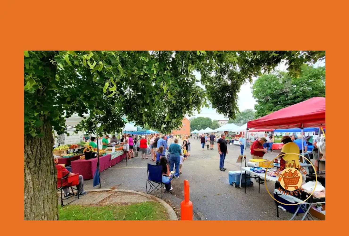 marshall area farmer's market