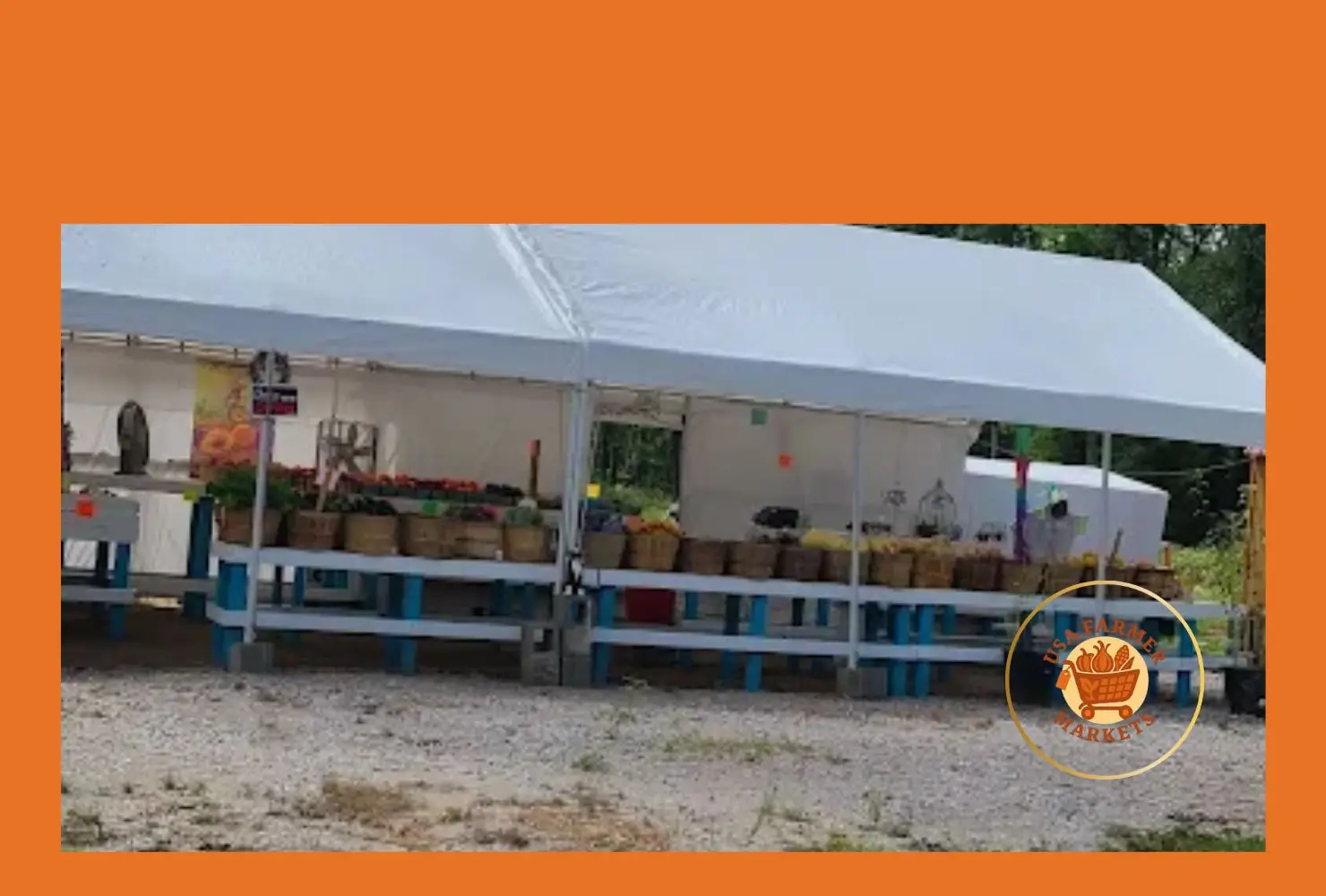 mjs farm market