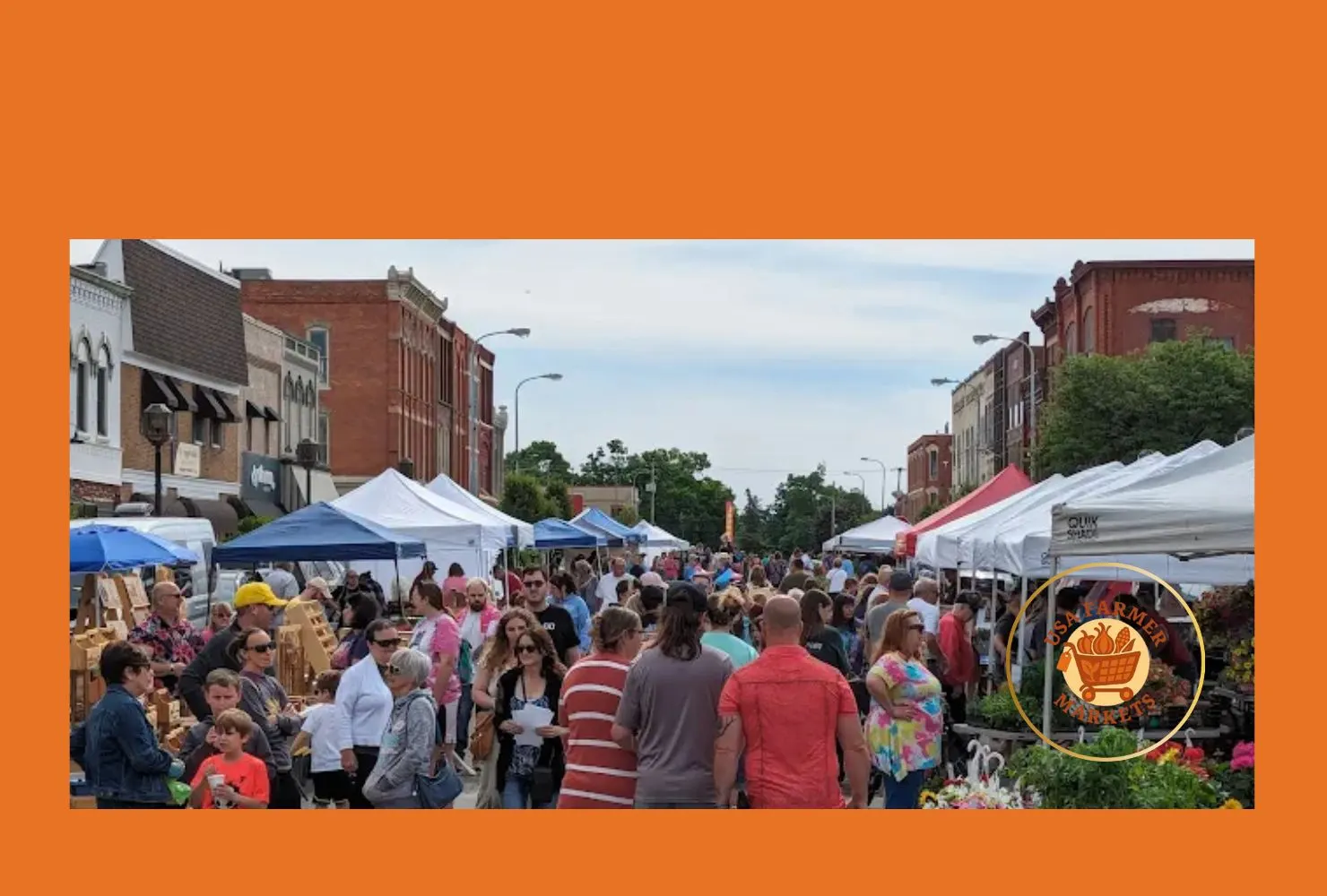 owosso farmers market