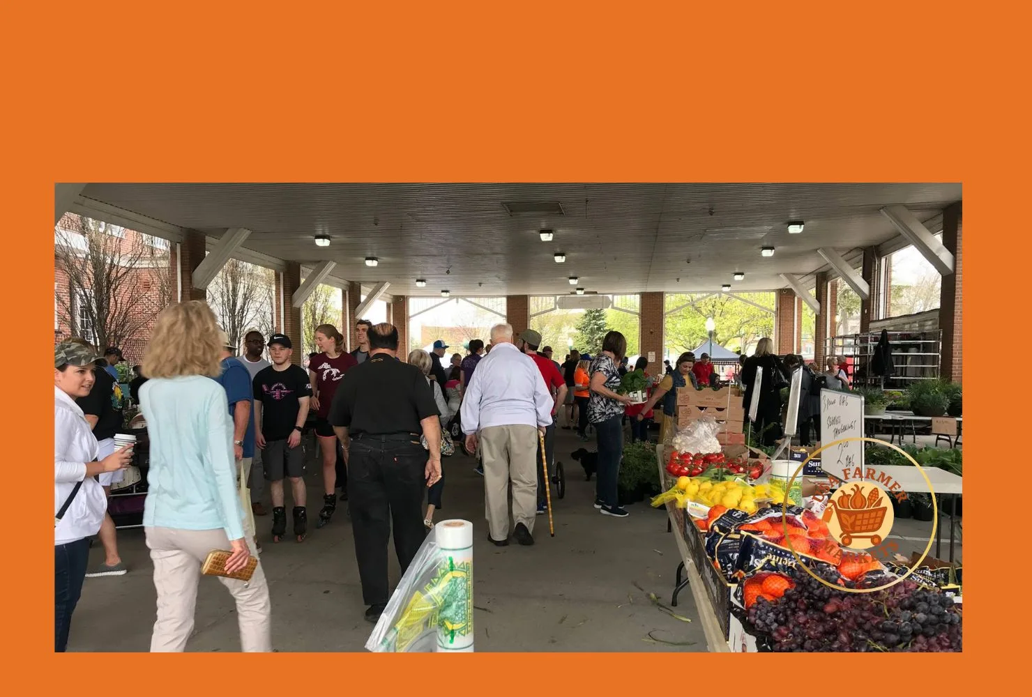 plymouth farmers market