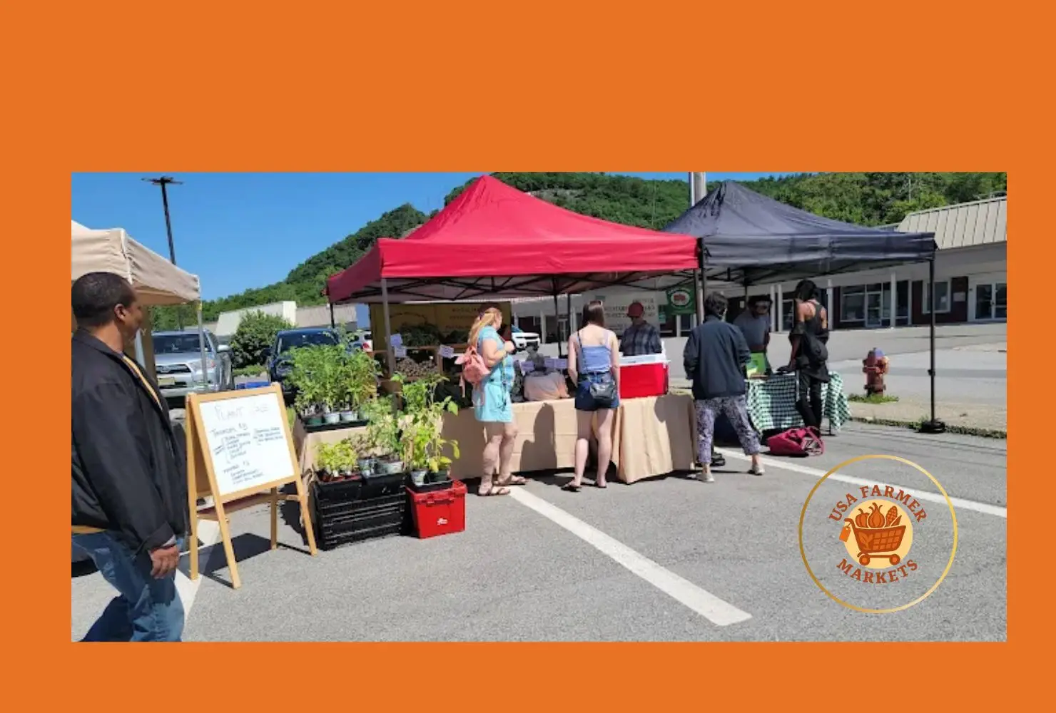 port jervis farmers' market