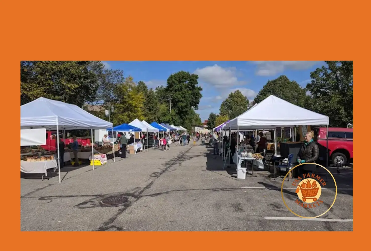rockford farmers' market