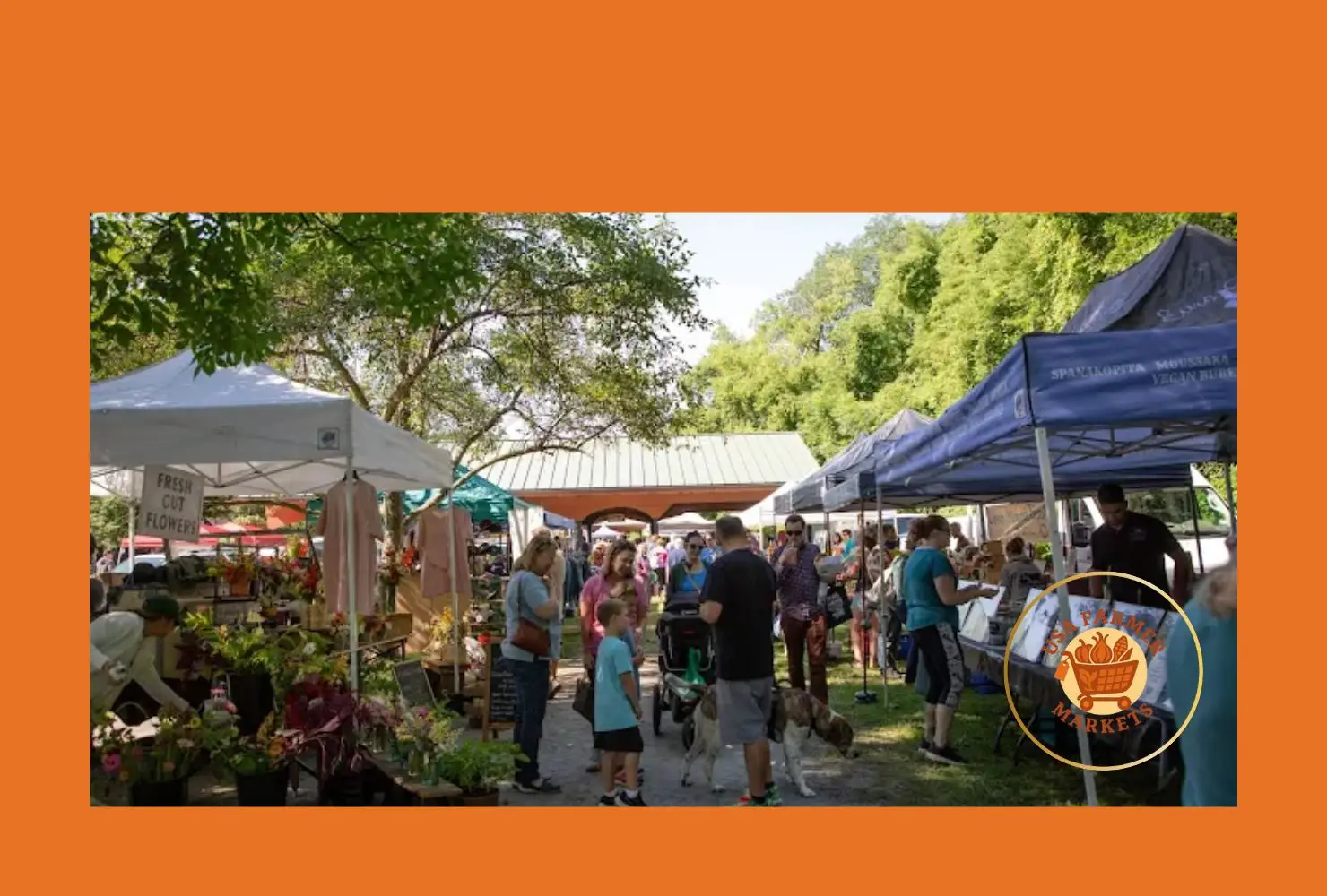 saratoga farmers' market