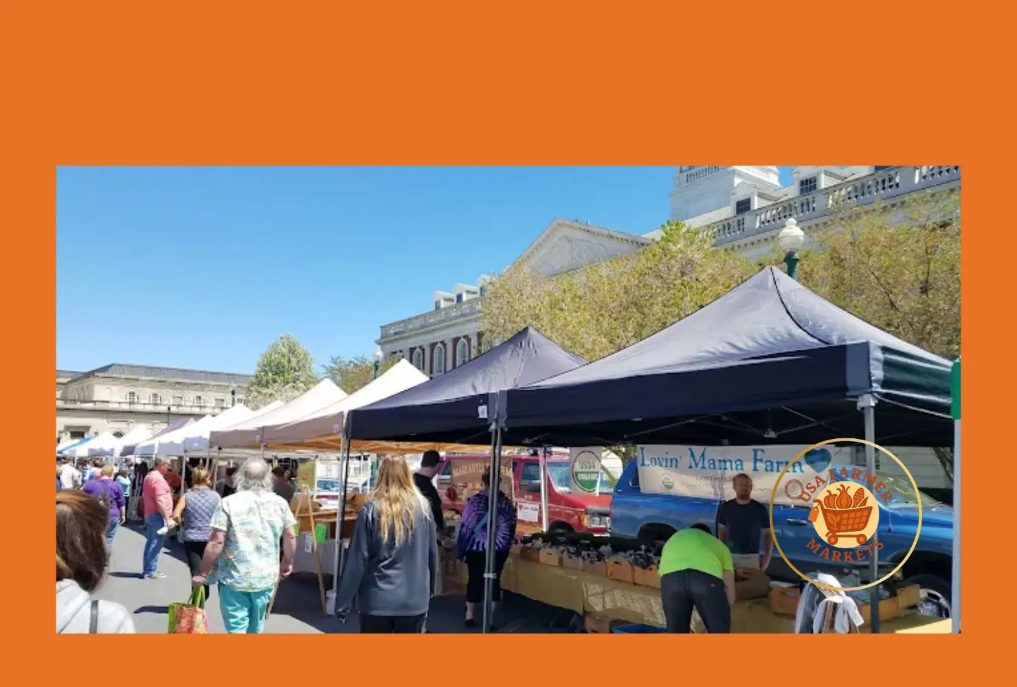 schenectady greenmarket