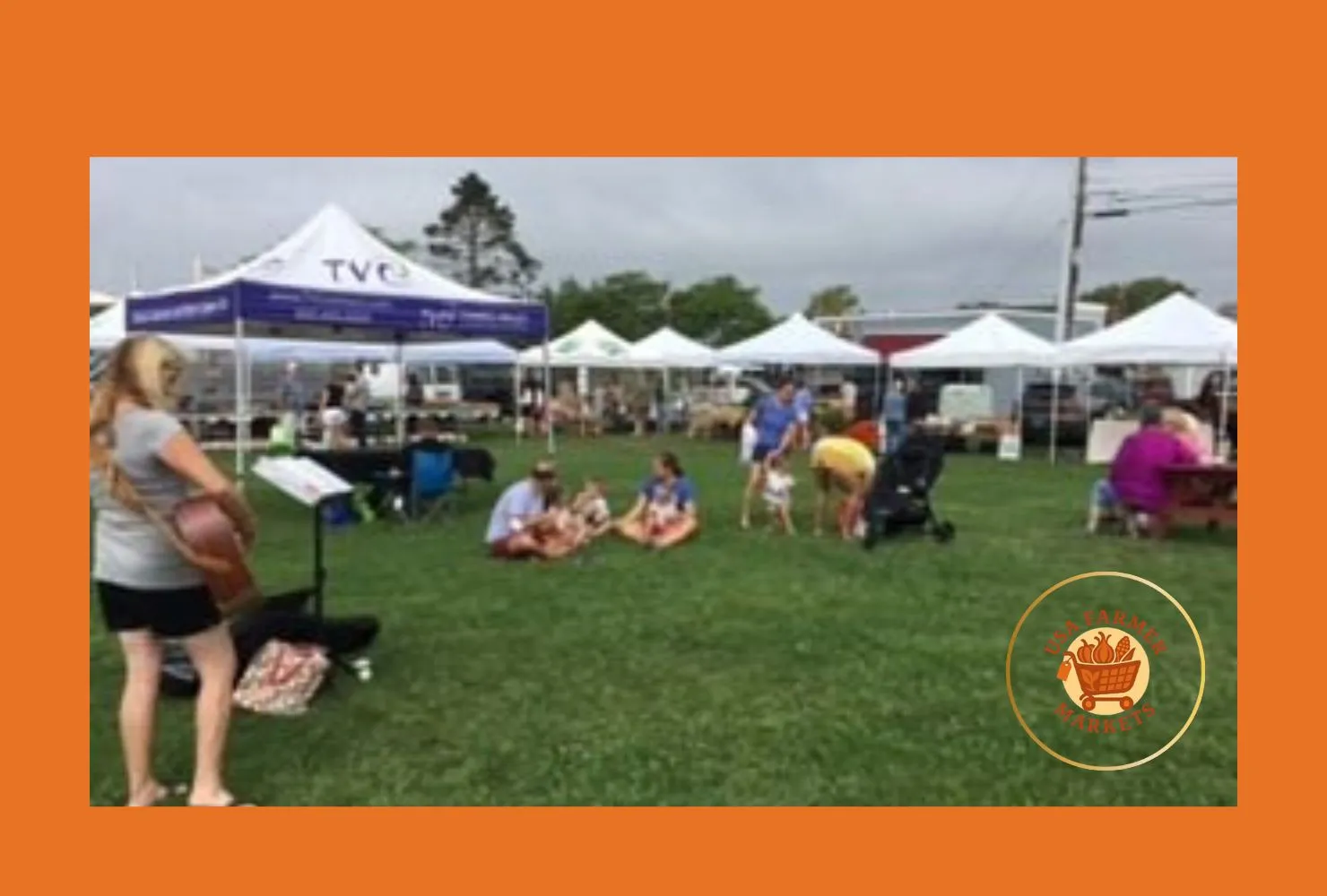 stonington village farmers market