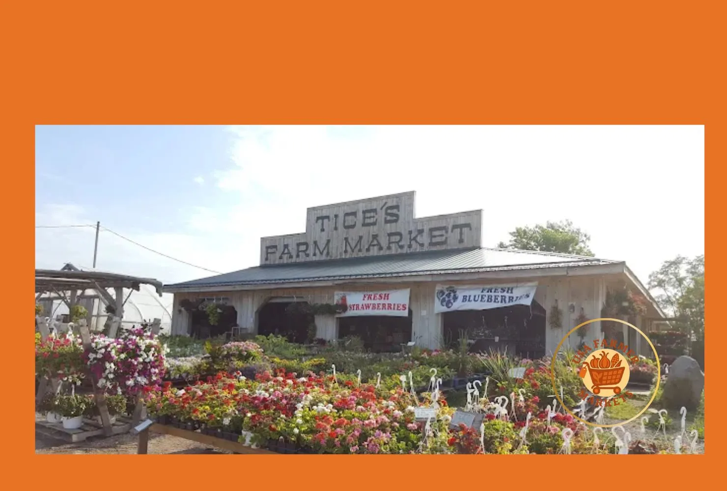 tice's farm market