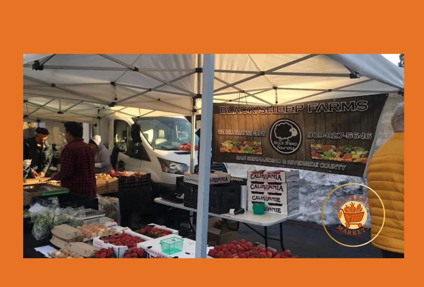 twin peaks farmers market