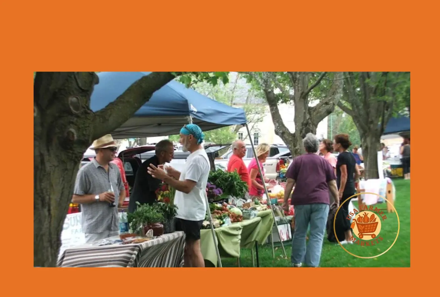 village farmers market
