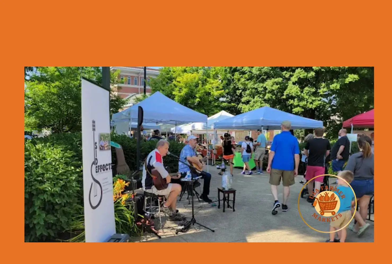 mount vernon farmers market