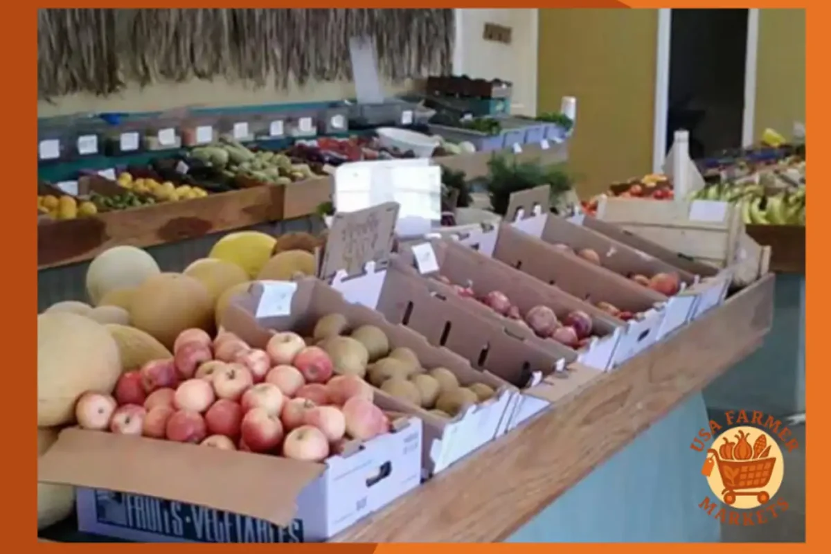 Arya Farm Market California Arya Farm Market California