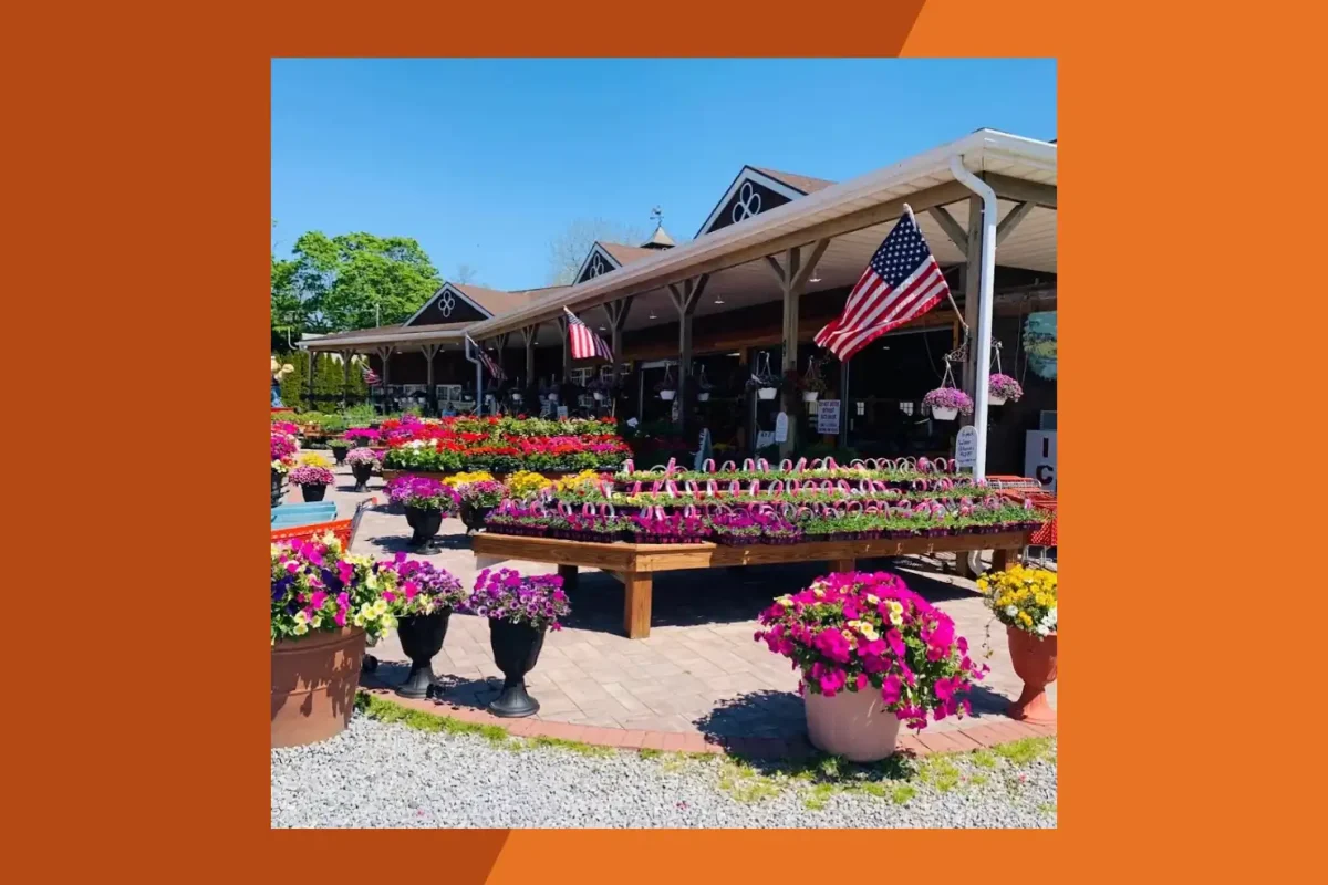 Bayview Market & Farms