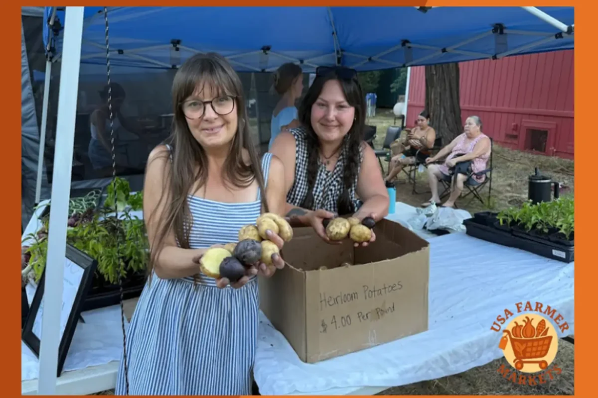 Brownsville Farmers Market California