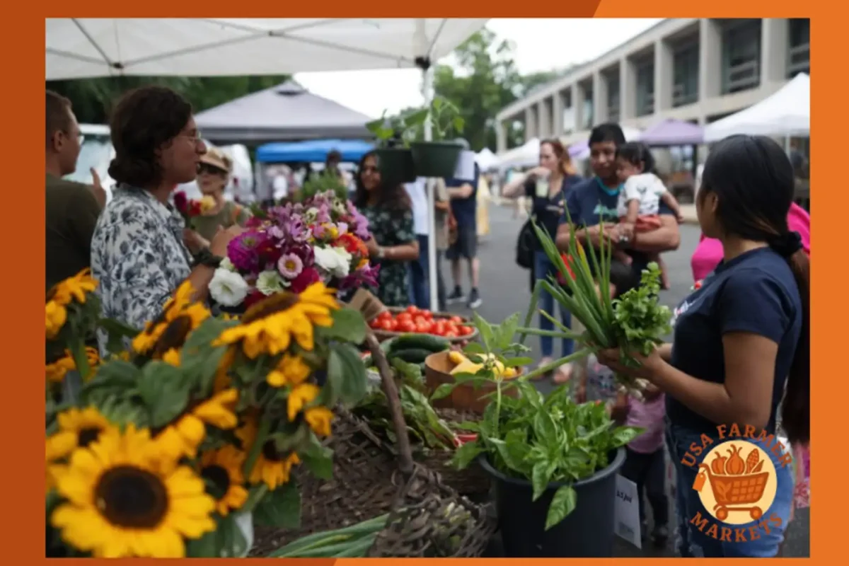 CitySeed Downtown Farmers Market Connecticut