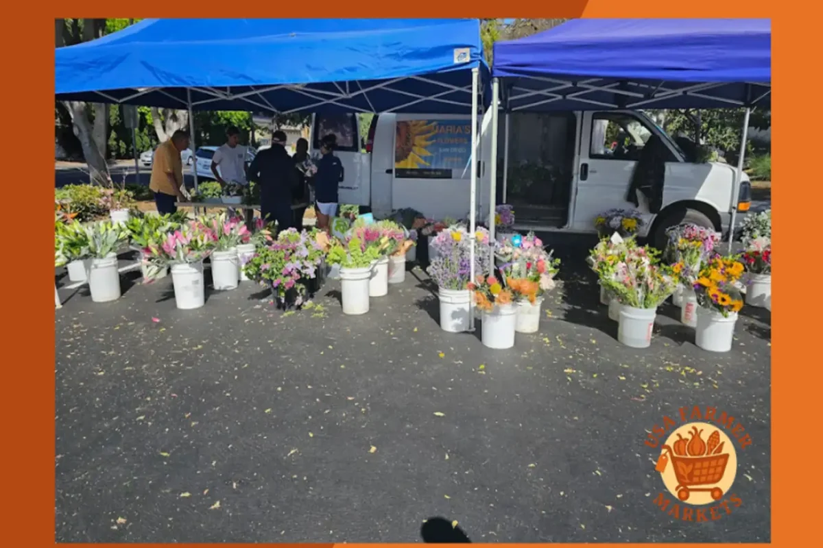 Corona del Mar Farmers’ Market California