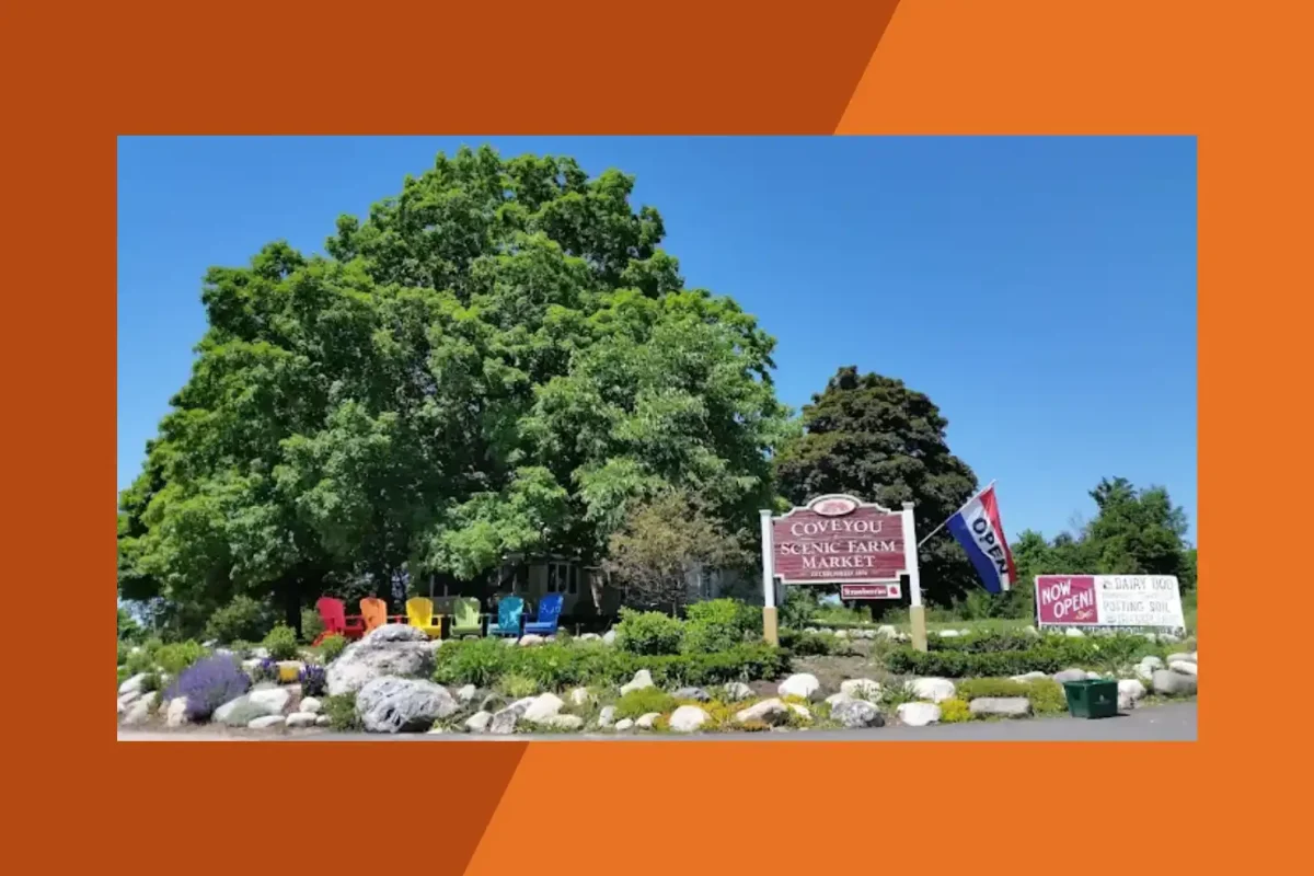 Coveyou Scenic Farm Market