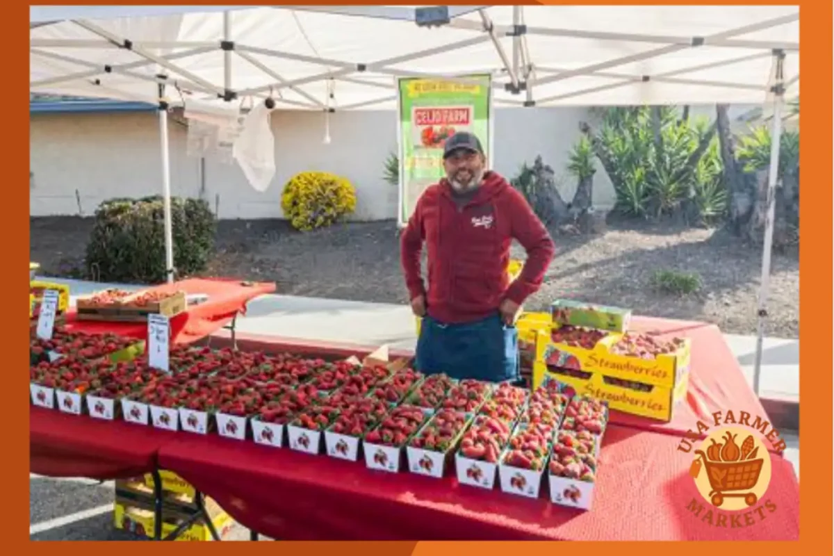 Evergreen Farmers’ Market california