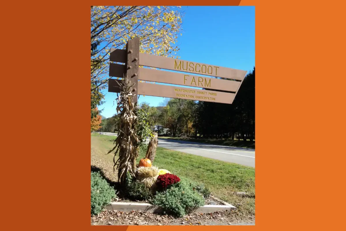 Farmers Market at Muscoot Farm