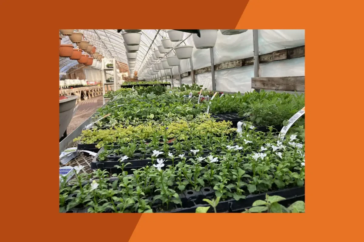 Finer Fields Farms Inc.