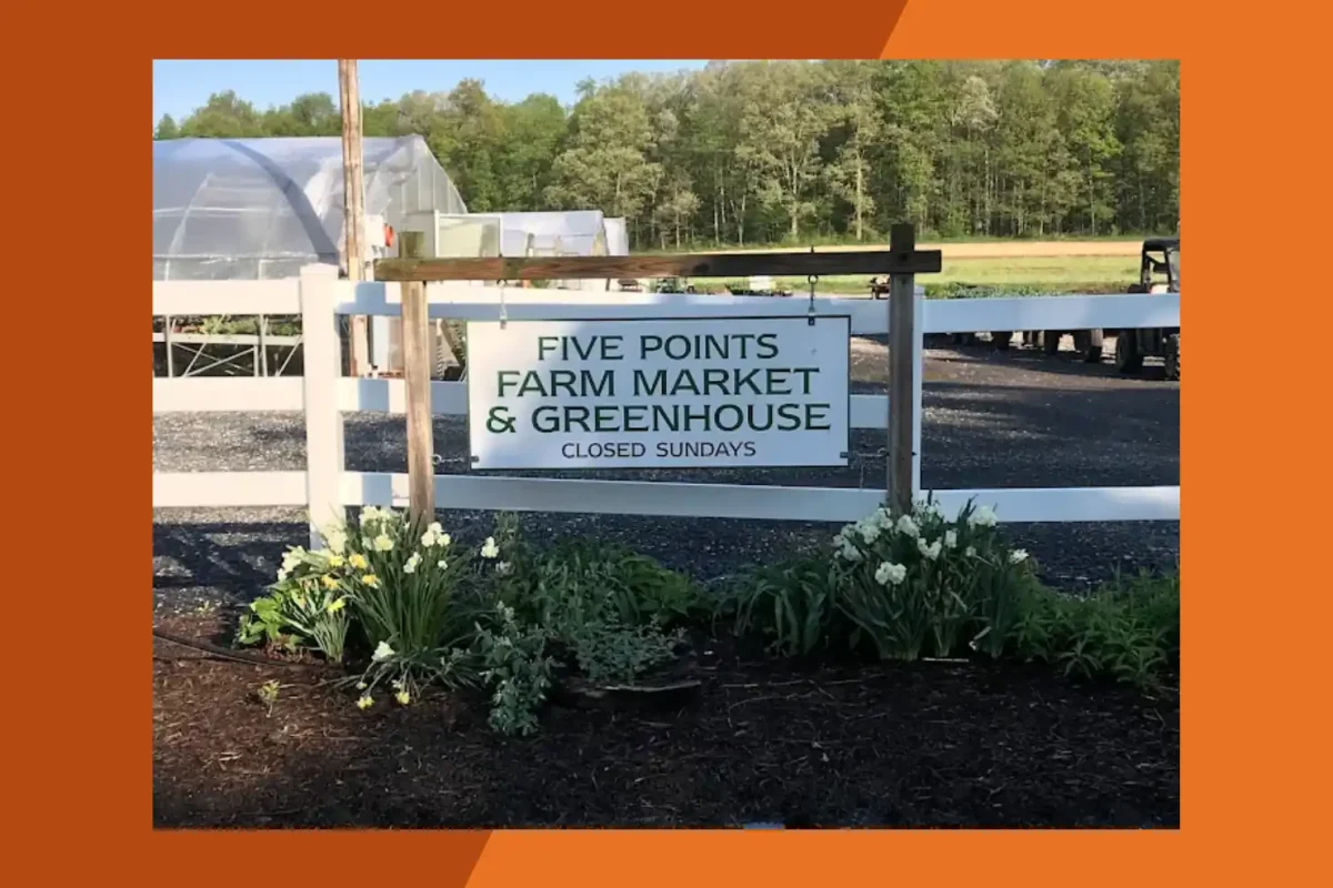 Five Points Farm Market & Greenhouse
