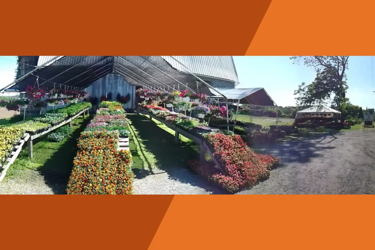 Gray Barn Farm Market