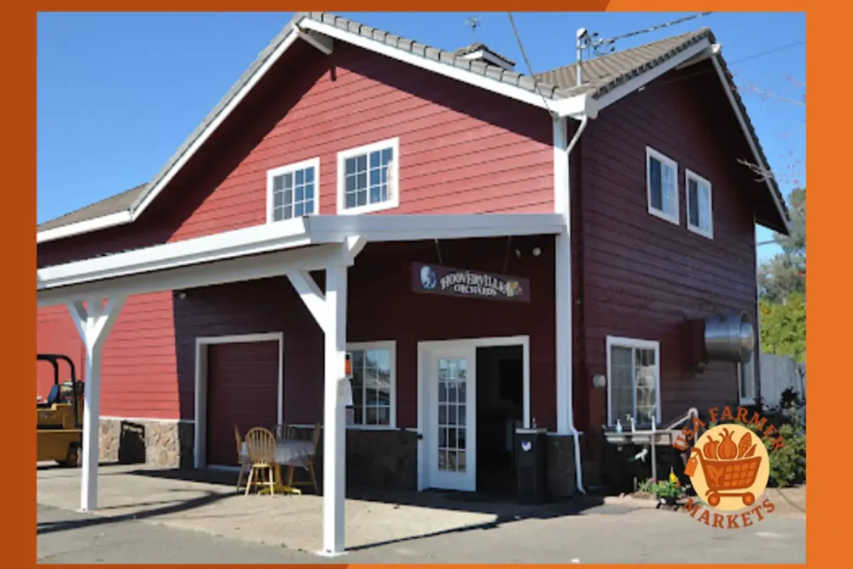Hooverville Orchards California New Jersy