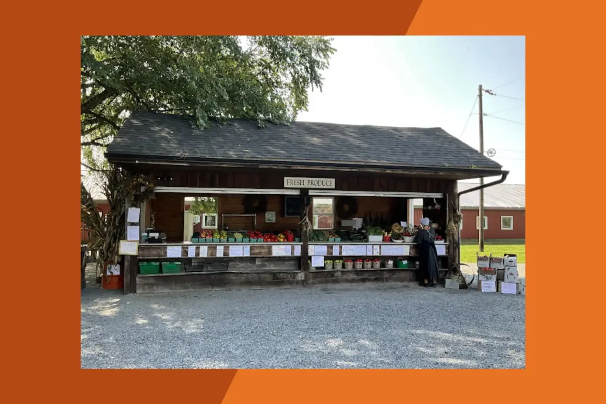 Lapp's Farm Market